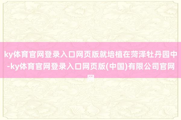 ky体育官网登录入口网页版就培植在菏泽牡丹园中-ky体育官网登录入口网页版(中国)有限公司官网
