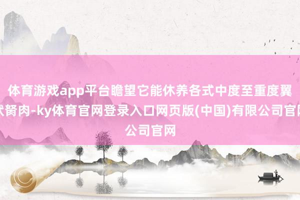 体育游戏app平台瞻望它能休养各式中度至重度翼状胬肉-ky体育官网登录入口网页版(中国)有限公司官网