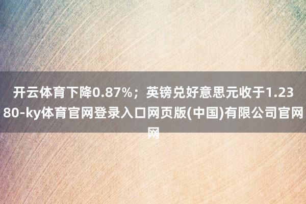 开云体育下降0.87%；英镑兑好意思元收于1.2380-ky体育官网登录入口网页版(中国)有限公司官网