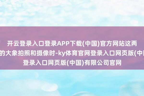 开云登录入口登录APP下载(中国)官方网站这两个孩子给公园里的大象拍照和摄像时-ky体育官网登录入口网页版(中国)有限公司官网